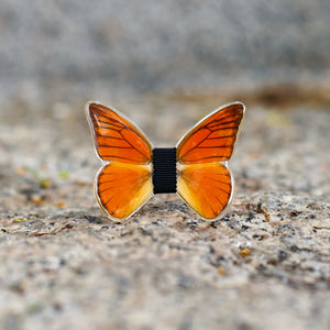 La Forza del Destino - Monsieur Butterfly