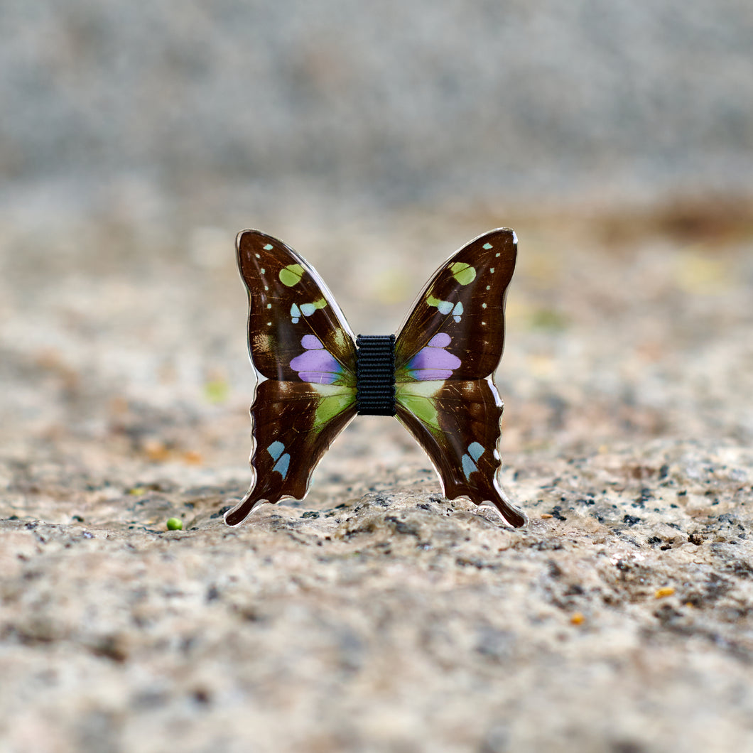 Le Figaro - Monsieur Butterfly