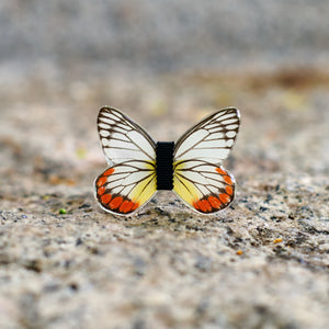 Le Cos� - Monsieur Butterfly