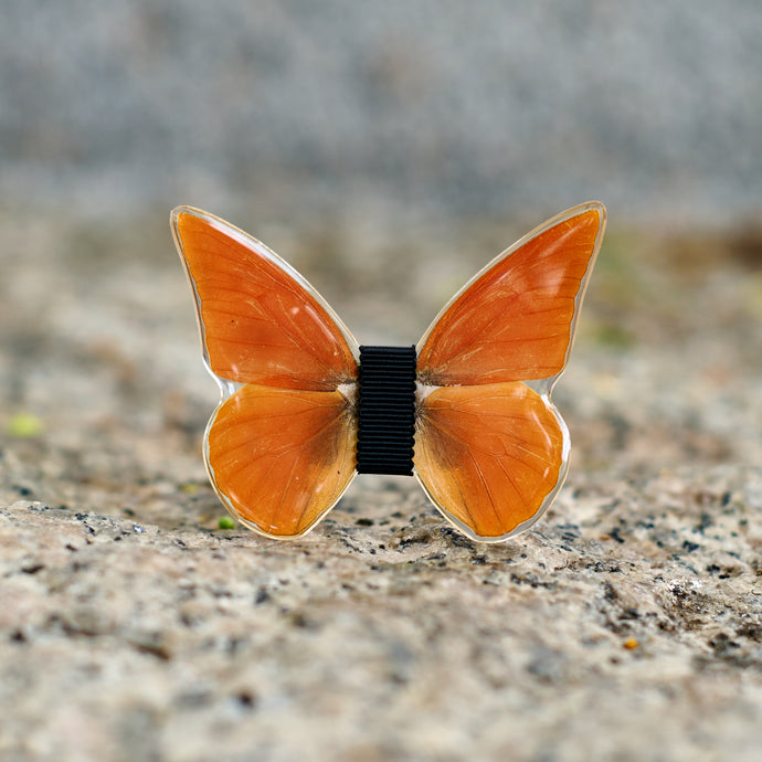 L'Elisir d'Amore - Monsieur Butterfly