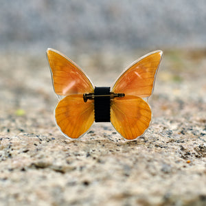 L'Elisir d'Amore - Monsieur Butterfly