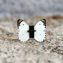 Charger l&#39;image dans la galerie, Le Papageno - Monsieur Butterfly