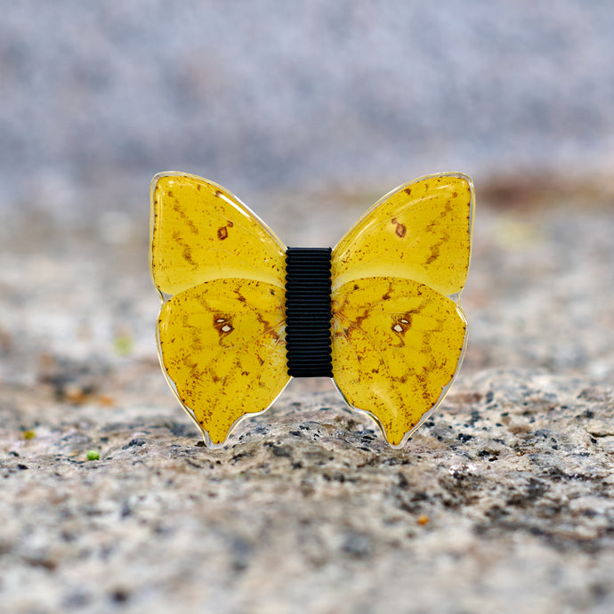 L'Orph�e - Monsieur Butterfly
