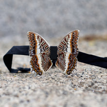 Load image into Gallery viewer, L&#39;�n�e - Monsieur Butterfly